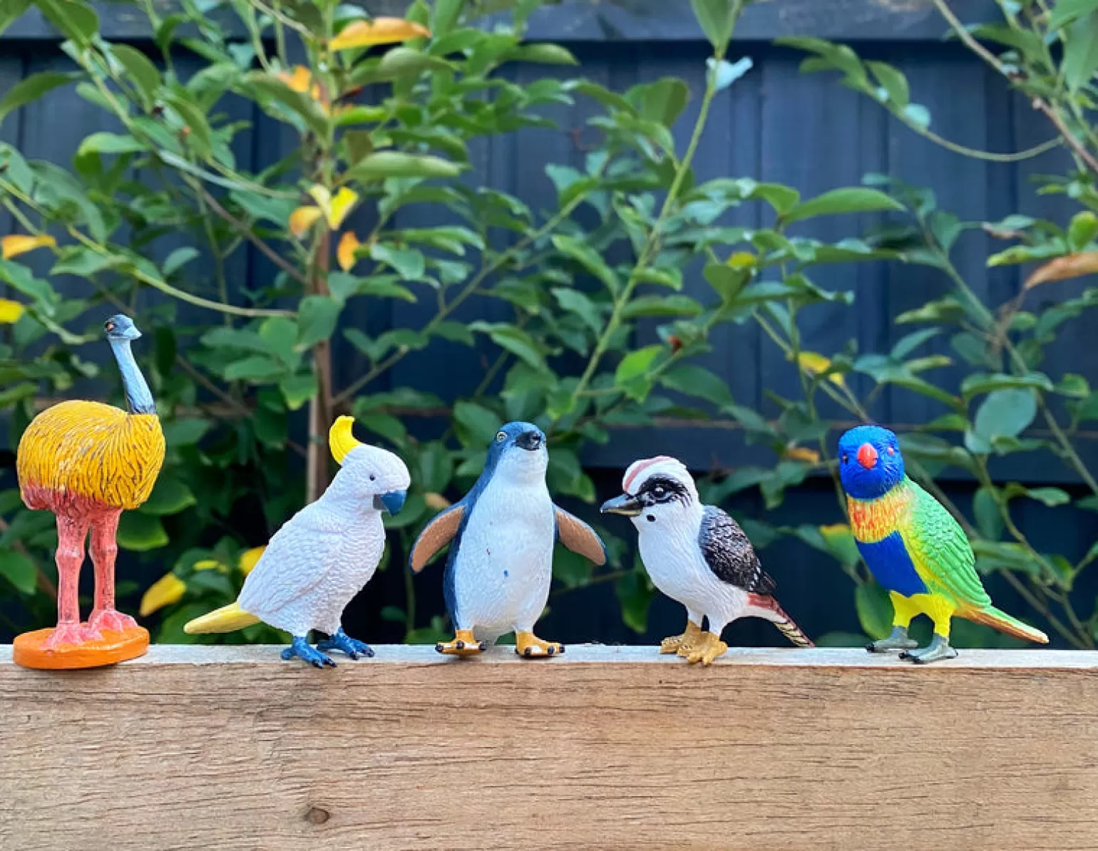 Science and Nature Birds Of Australia - Bird Figurines