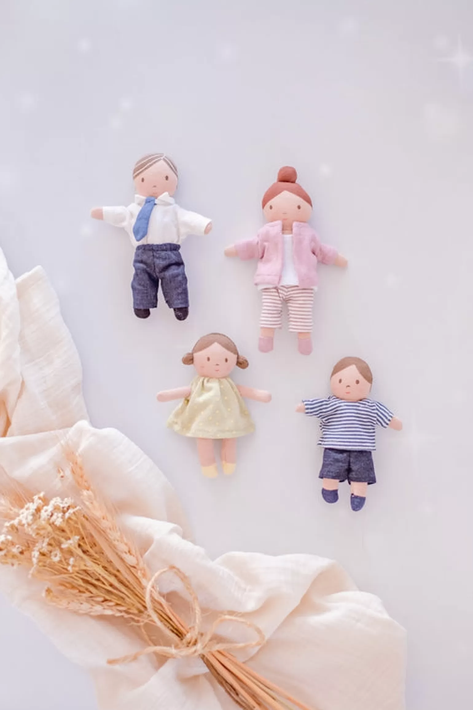 Fashion Tiny Doll Family Dolls + Accessories