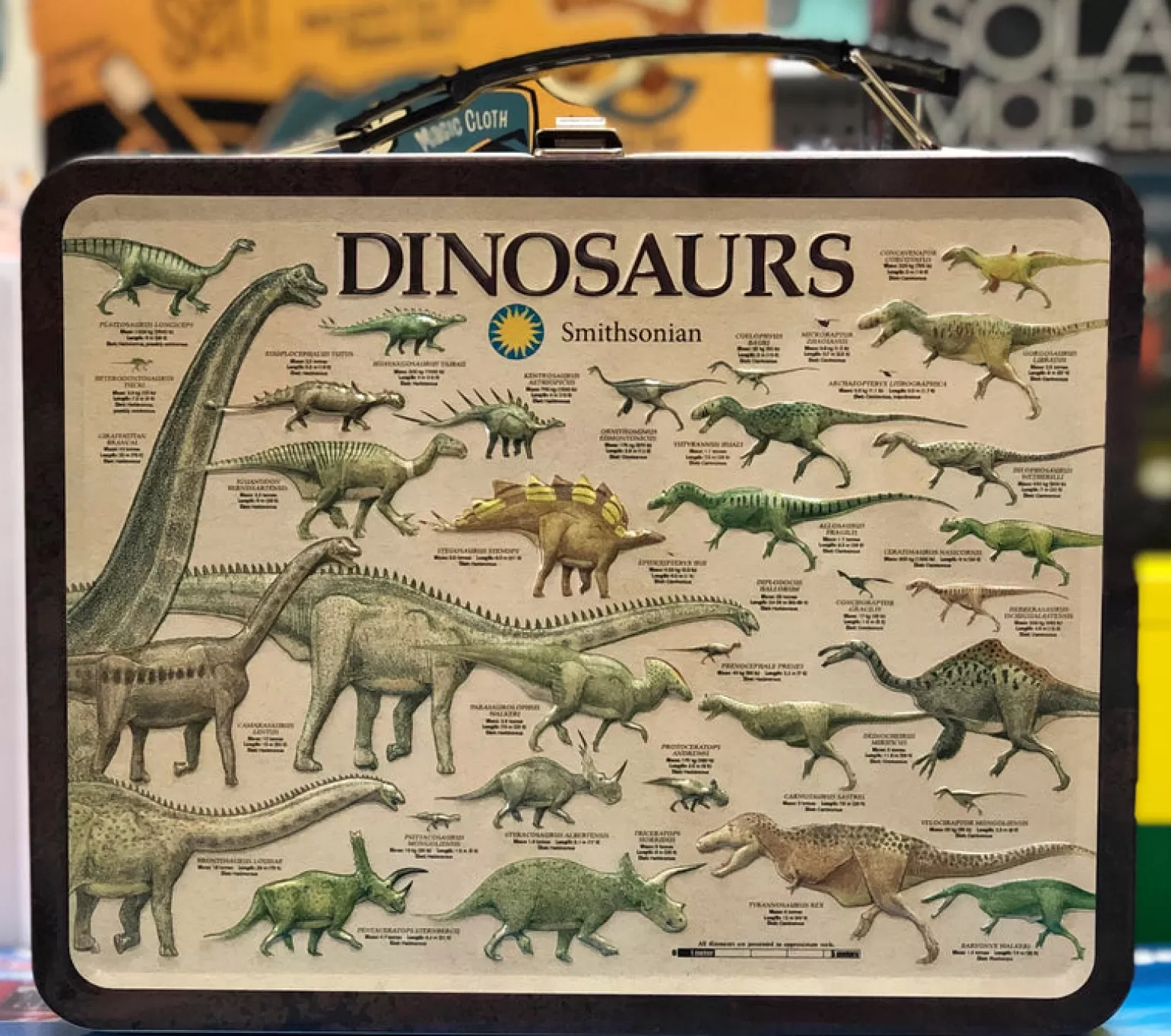 Discount Dinosaur Tin Case Arts + Crafts