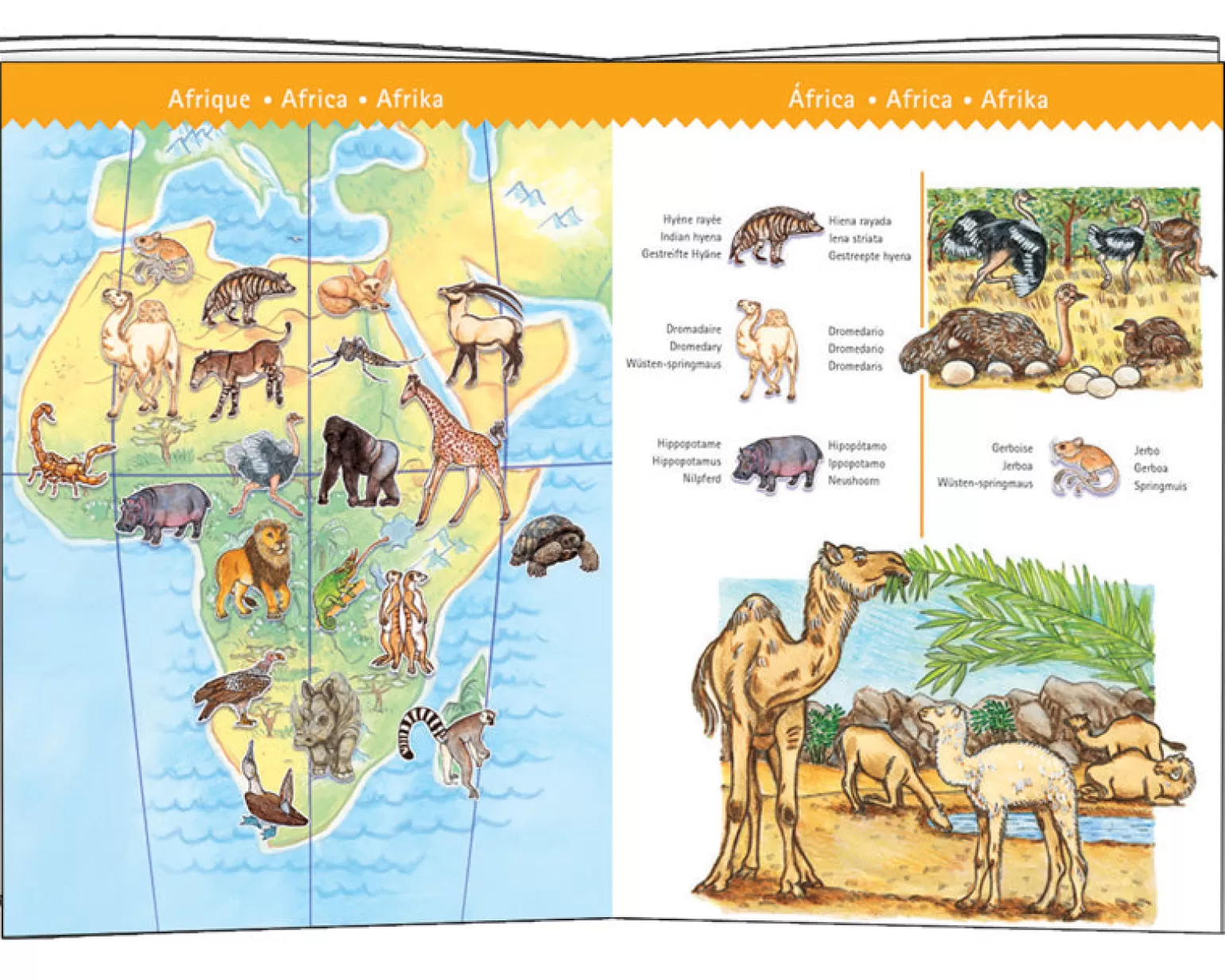 Djeco - 100 Piece Observation Puzzle World's Animals