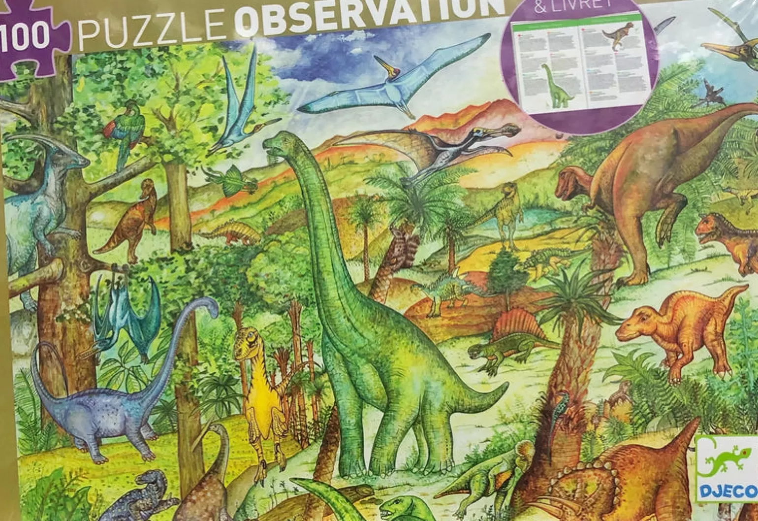 Djeco - Dinosaur Observation 100 Piece Puzzle & Poster