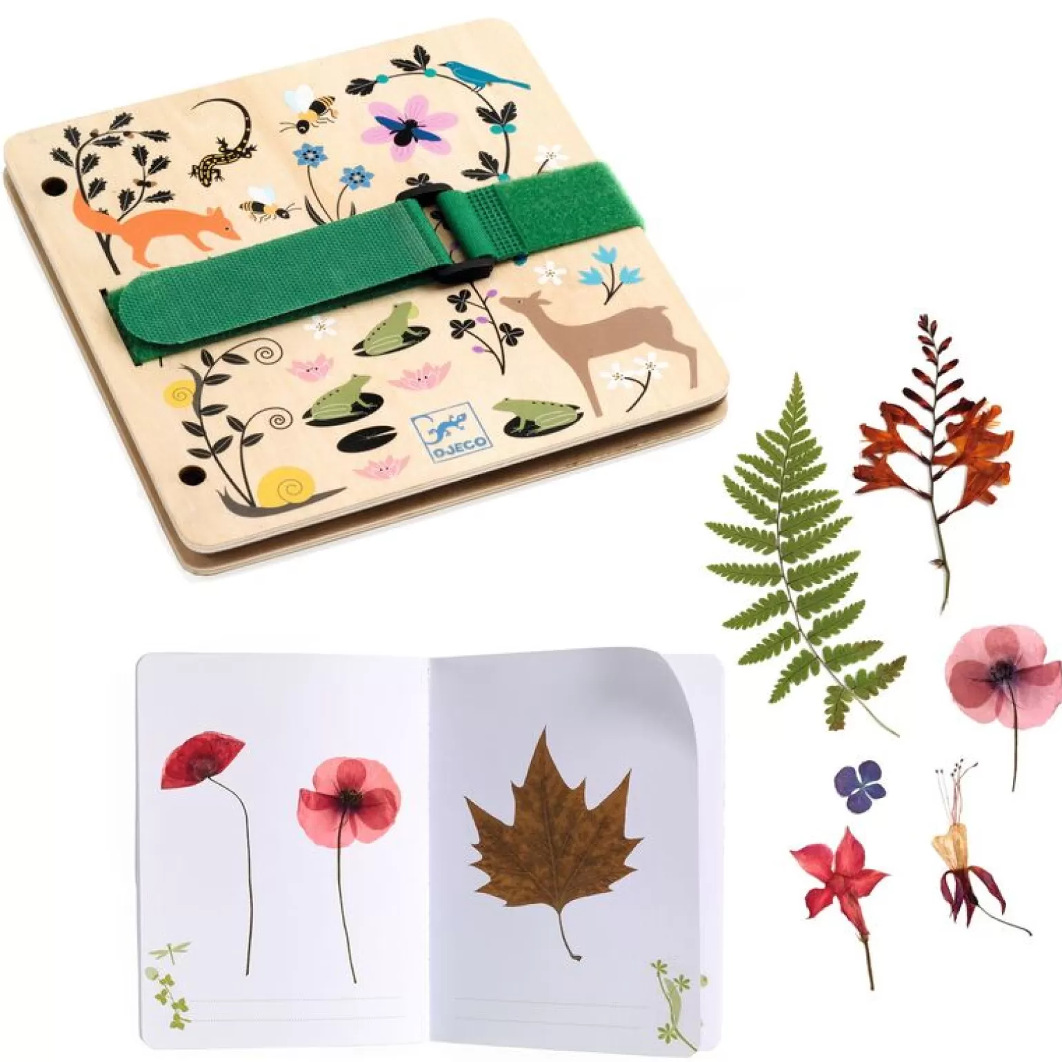 Online - Do It Yourself Botanist Kit Arts + Crafts