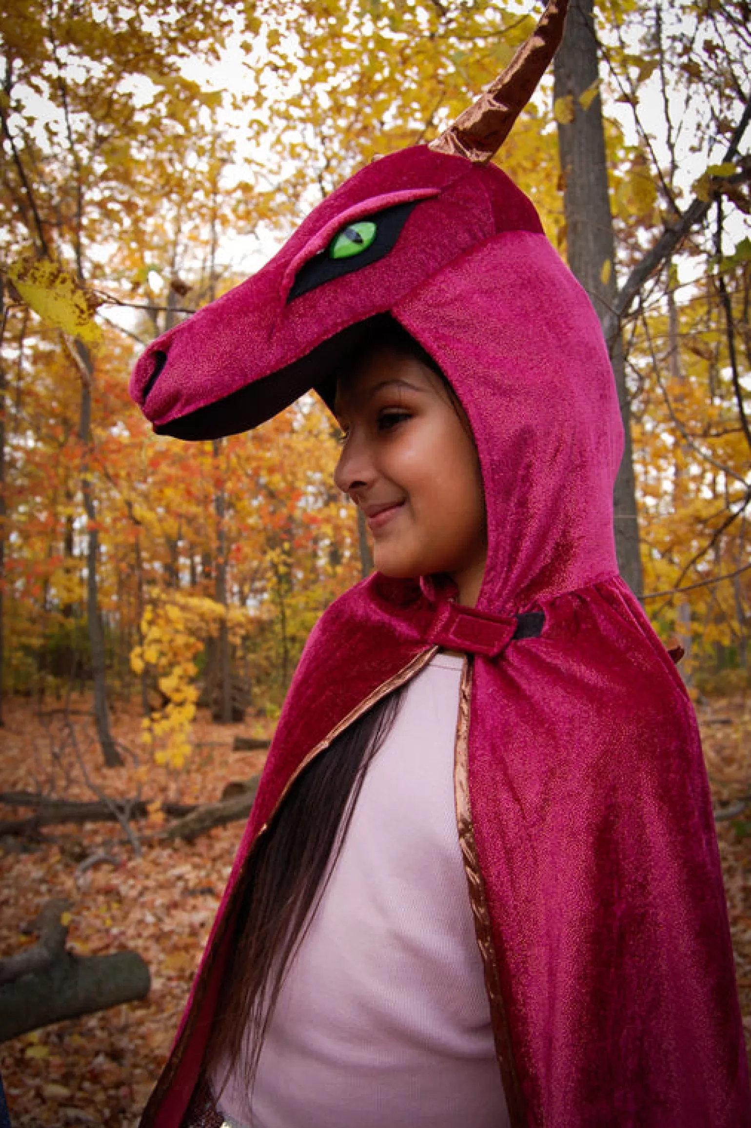 Great Pretenders - Starry Night Dragon Cape Costume In Burgundy And Copper