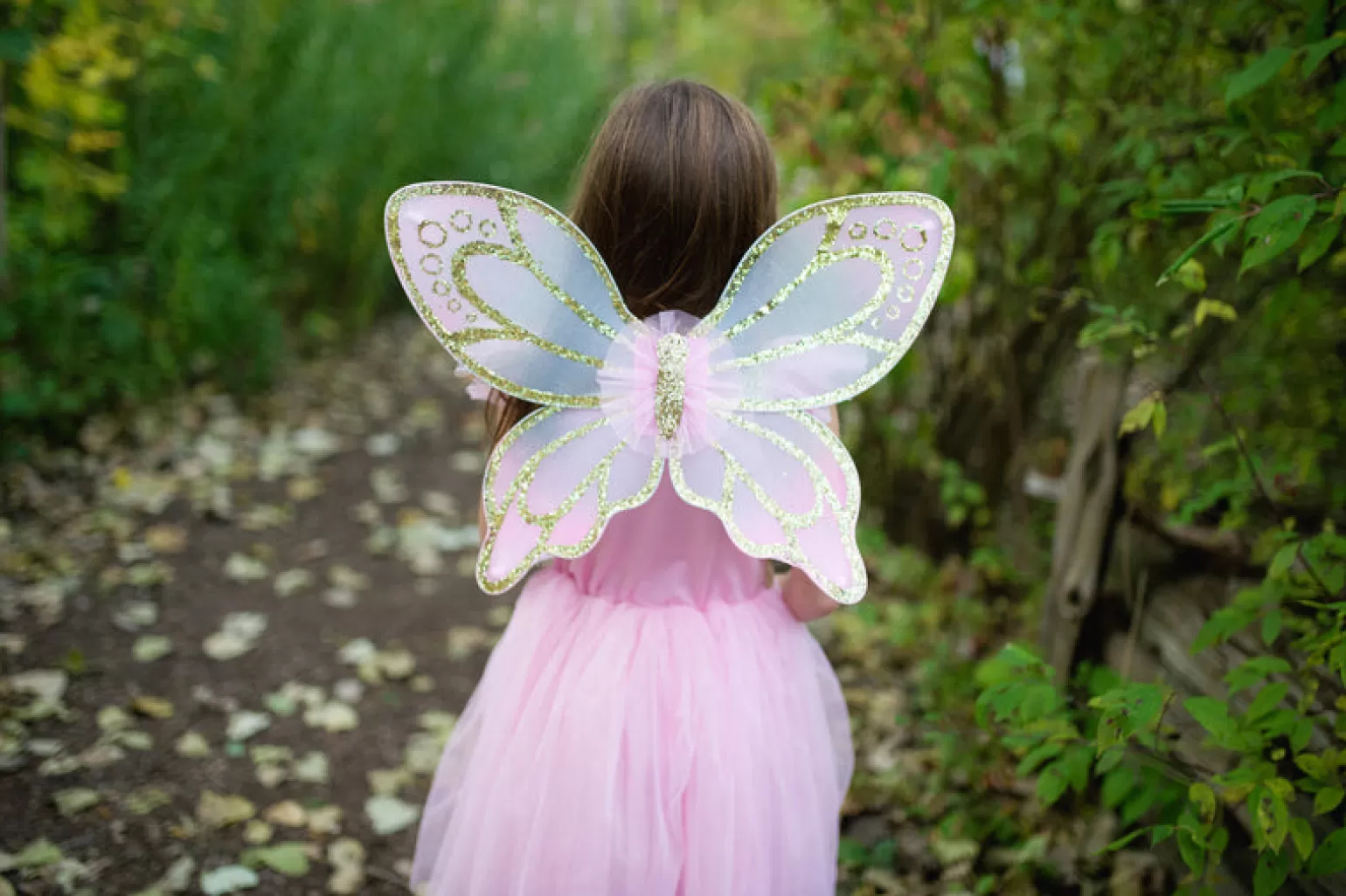 Great Pretenders Gold Butterfly Costume Dress With Wings