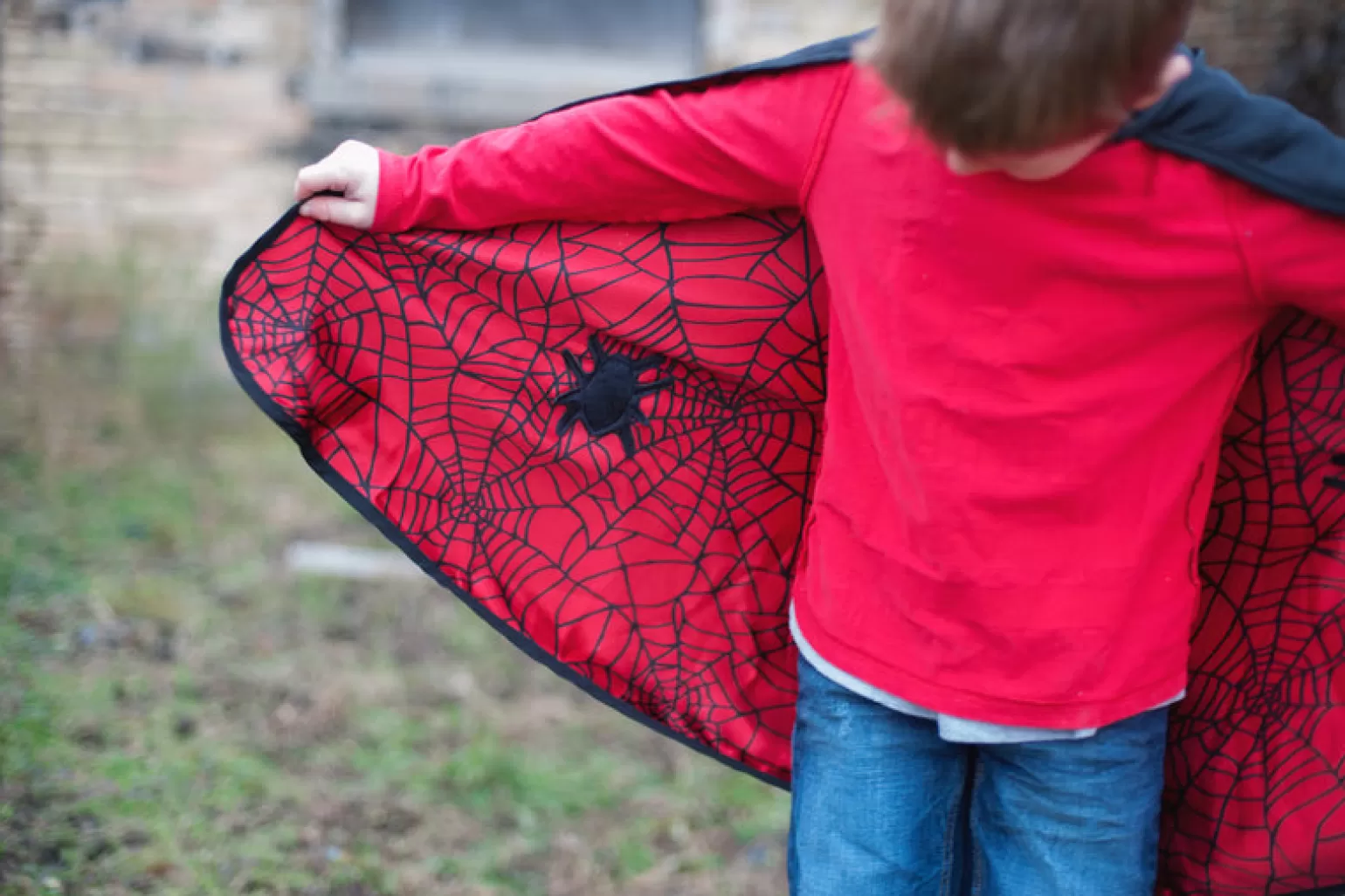 Great Pretenders Reversible Spider & Bat Cape Costume With Mask