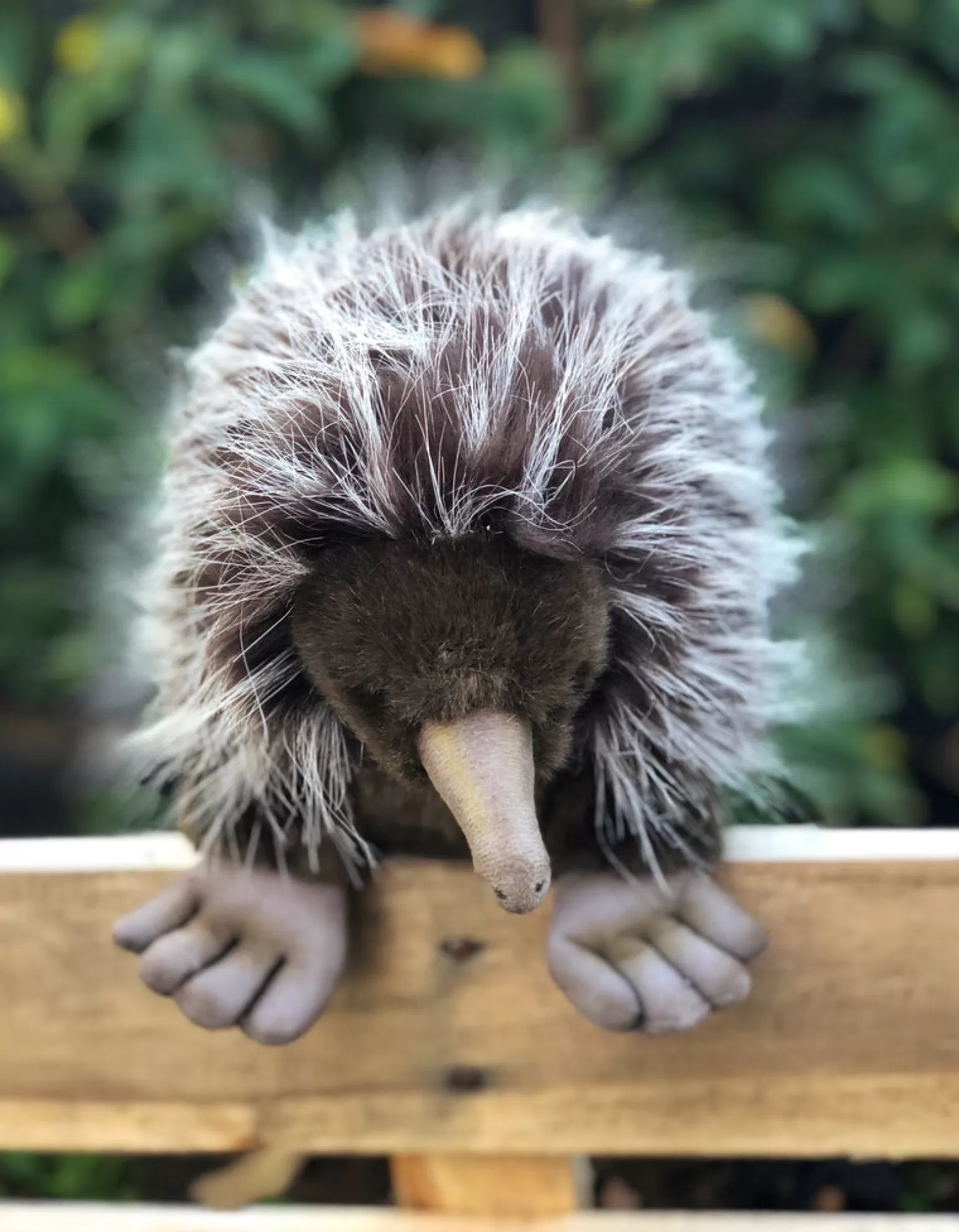 Hansa - Echidna Soft Toy 34 Cm