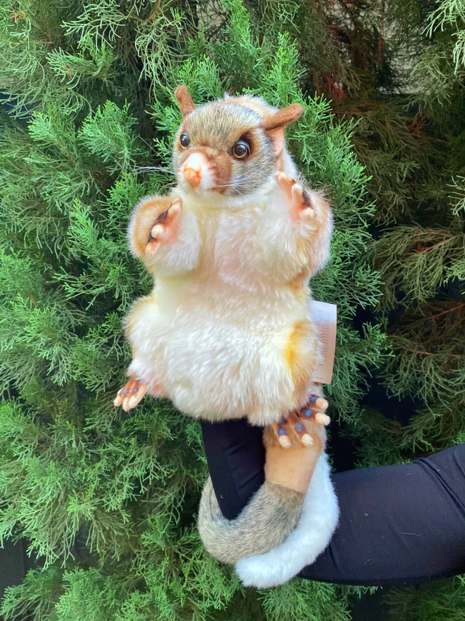 Discount -Brush Tail Possum Puppet Animals + Figurines