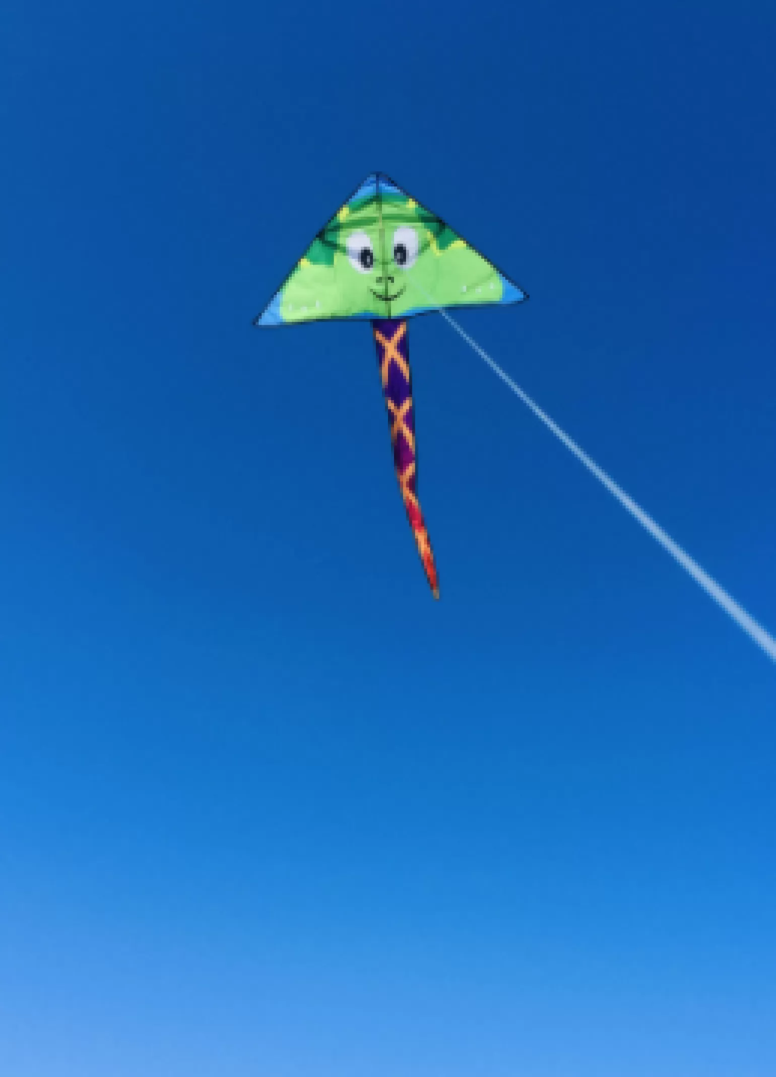 Harlequin Toys - Delta Turtle Kite