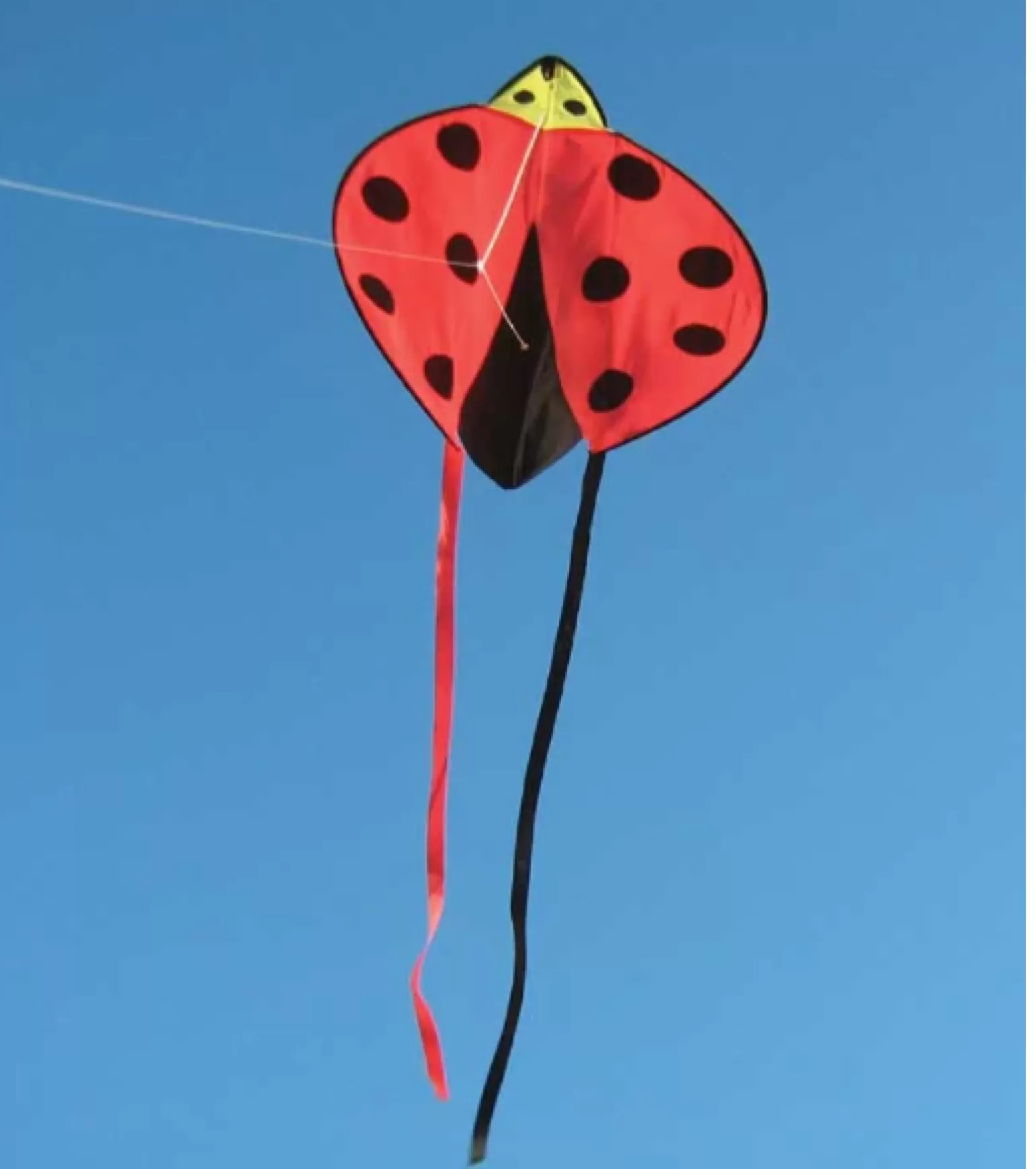 Harlequin Toys - Ladybug Kite