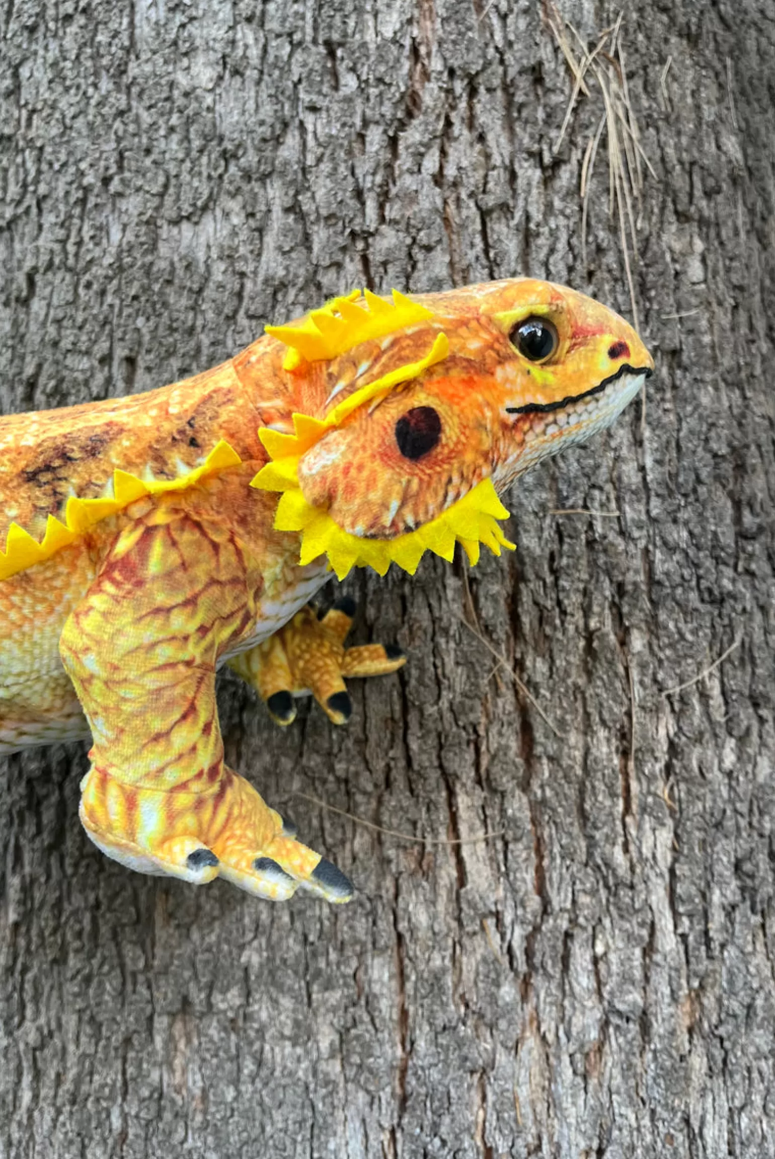 Huggable Toys - Kambera Bearded Dragon