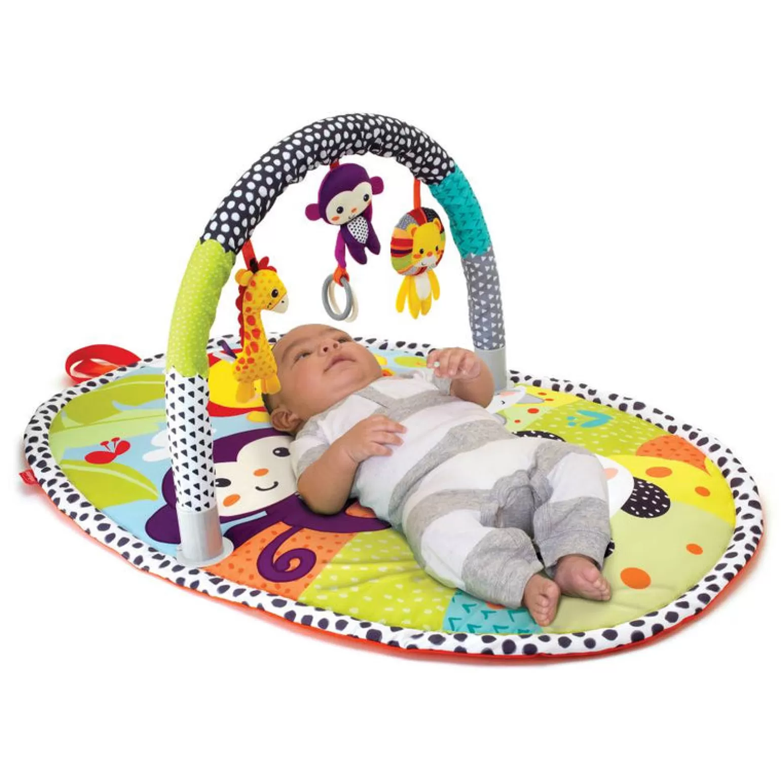 Infantino Activity Gym Explore & Store