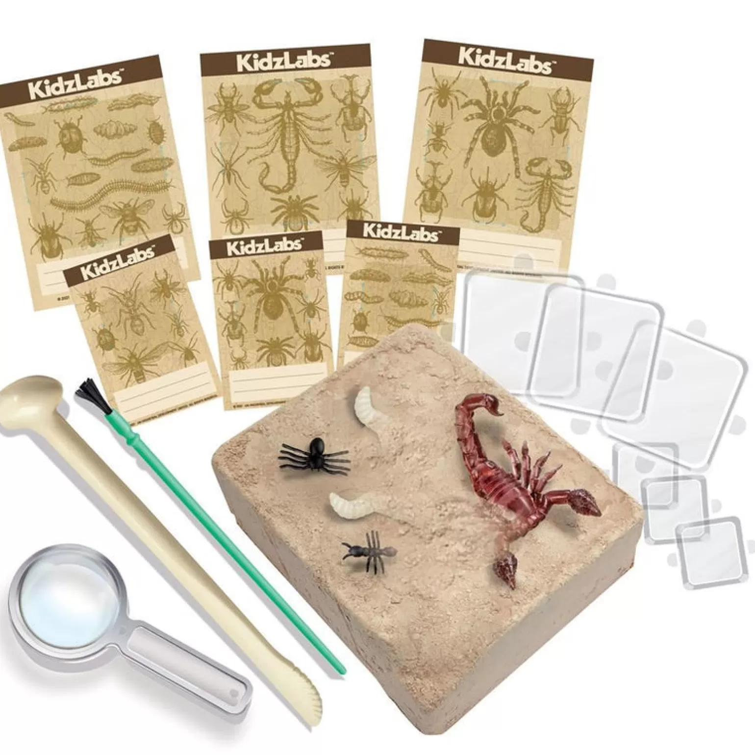 4M Kidz Labs - Creepy Crawly Digging Kit