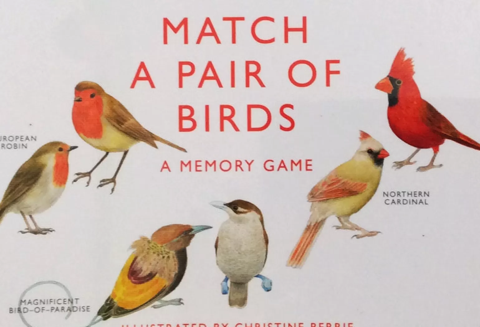 Other Match A Pair Of Birds - Memory Game