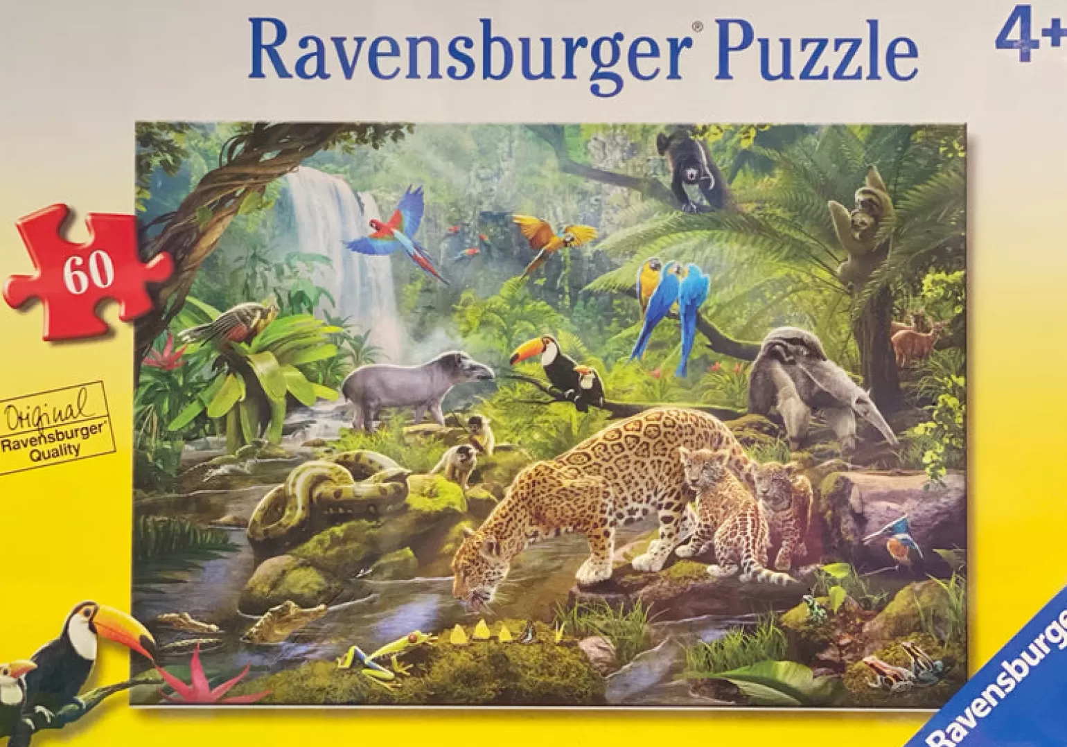 Ravensburger - Animals Of India Puzzle 60 Piece