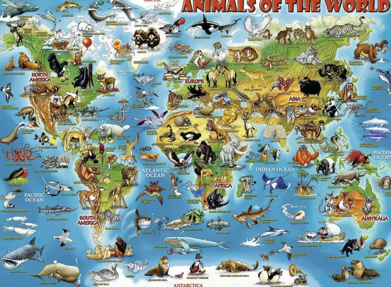 Ravensburger Puzzle 300 Pieces World Of Animals