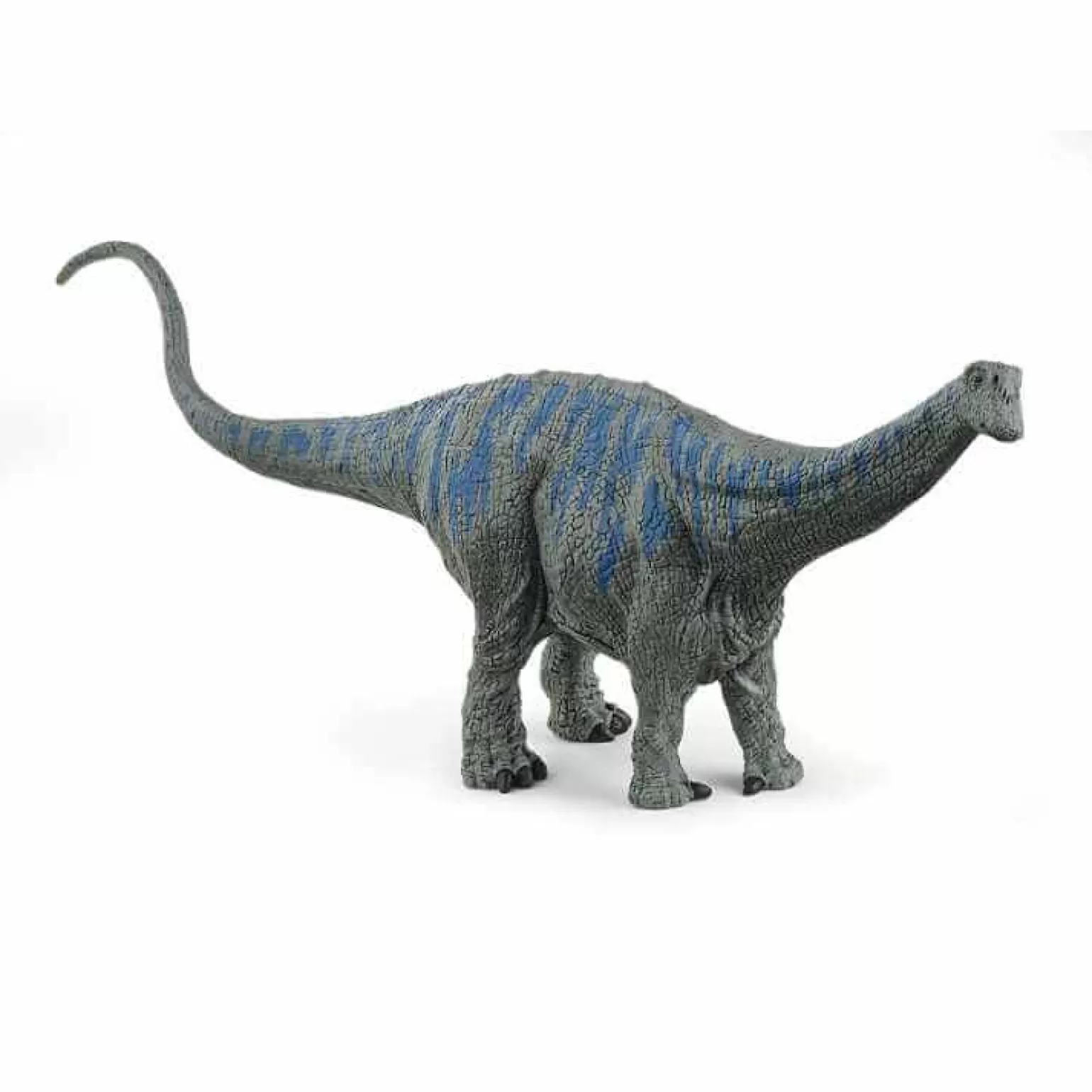 Flash Sale - Brontosaurus Animals + Figurines