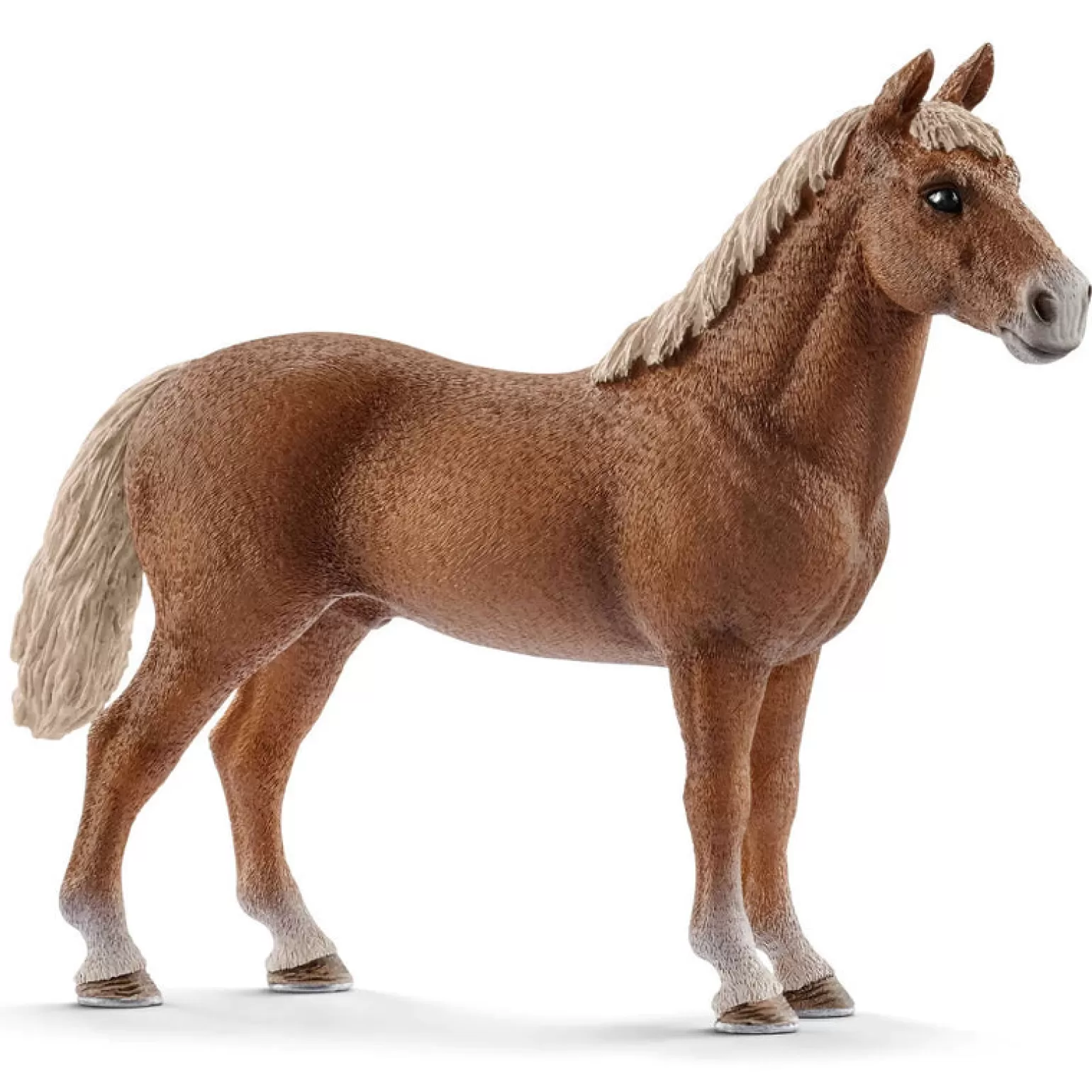 Sale - Morgan Horse Stallion Animals + Figurines