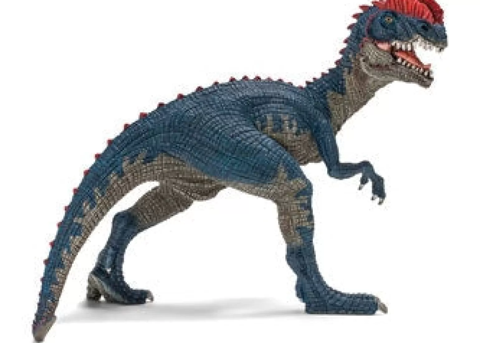 Discount Dinosaurs - Dilophosaurus Animals + Figurines