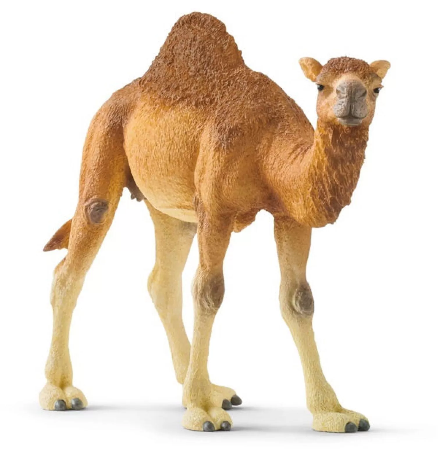 Cheap Wild Life - Dromedary Camel Animals + Figurines