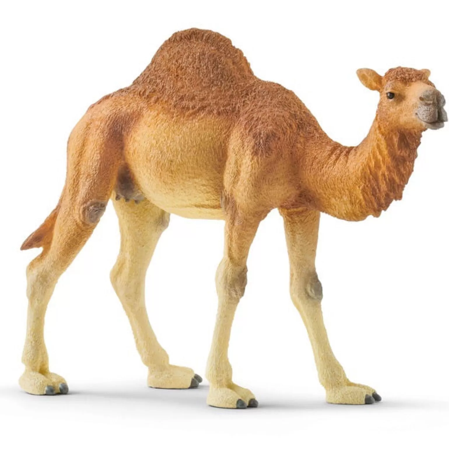 Cheap Wild Life - Dromedary Camel Animals + Figurines