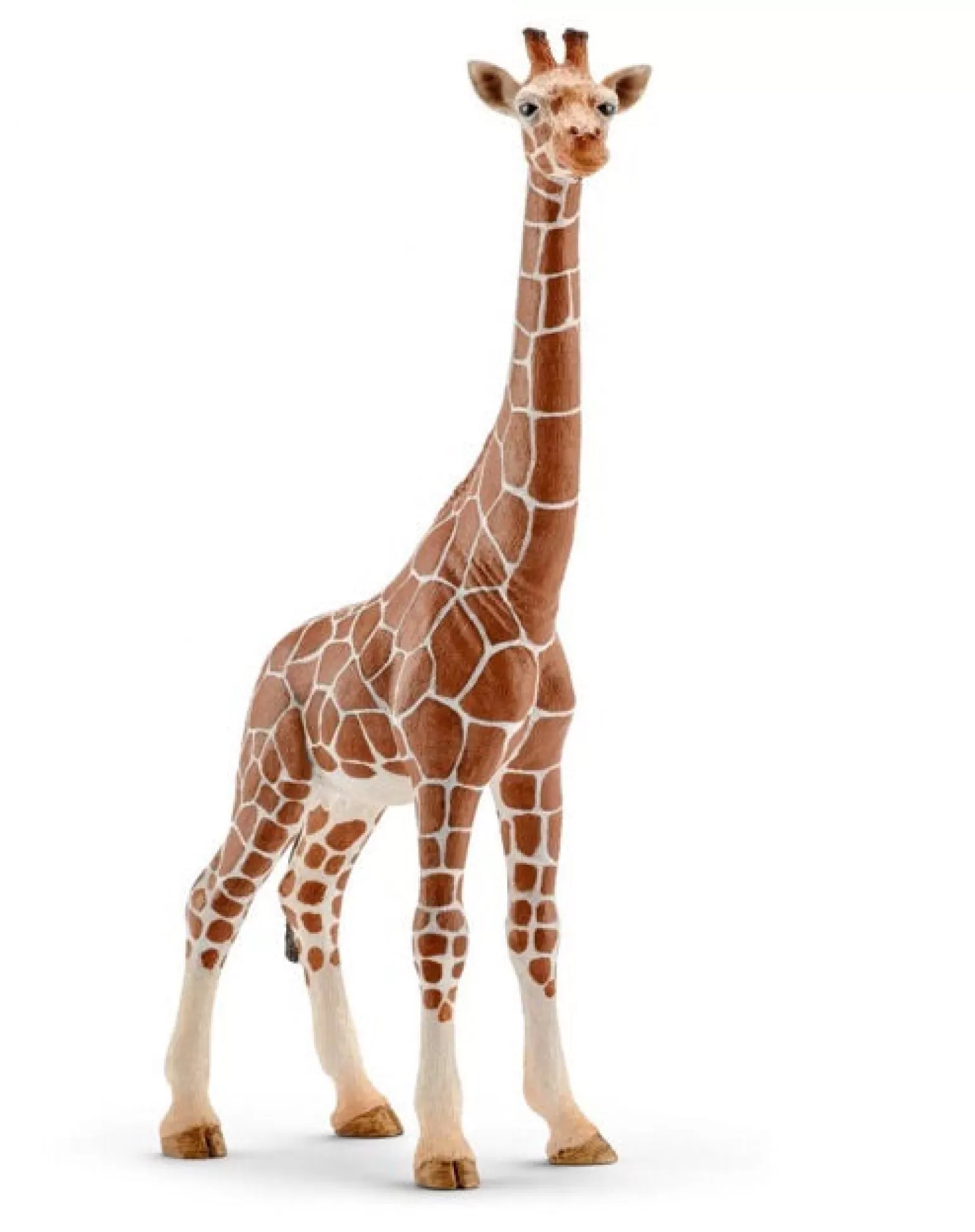 Hot Wild Life - Giraffe Female Animals + Figurines