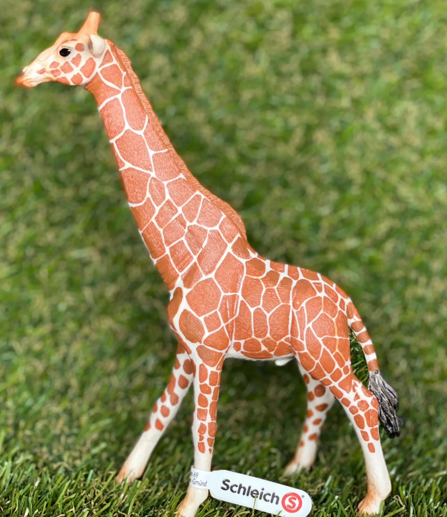 Store Wild Life - Giraffe Male Animals + Figurines