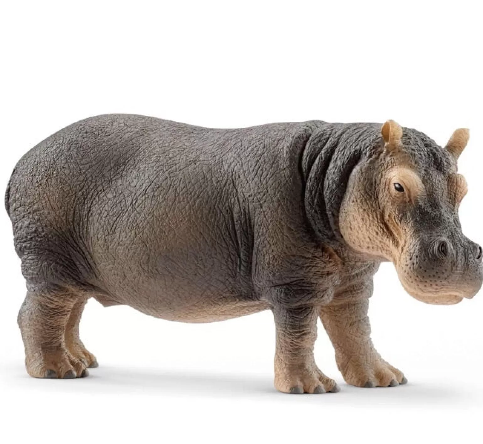 Hot Wild Life - Hippopotamus Animals + Figurines