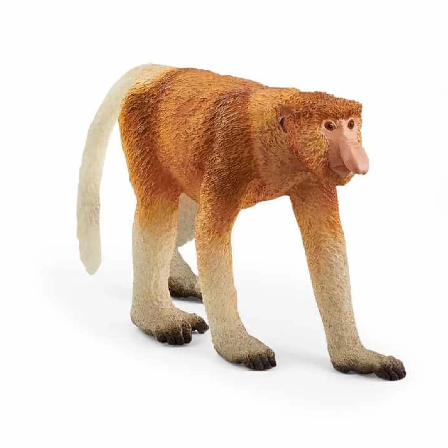 Shop Wild Life - Proboscis Monkey Animals + Figurines