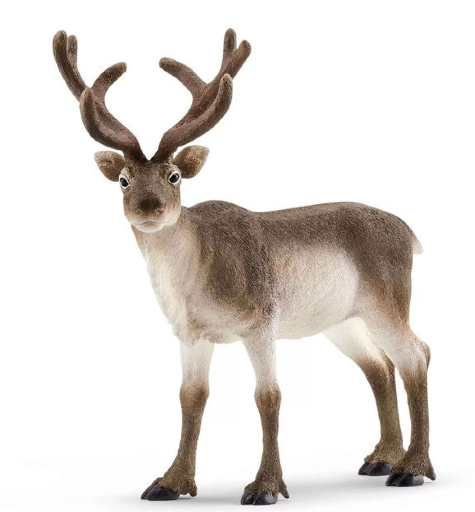 Shop Wild Life - Reindeer Animals + Figurines