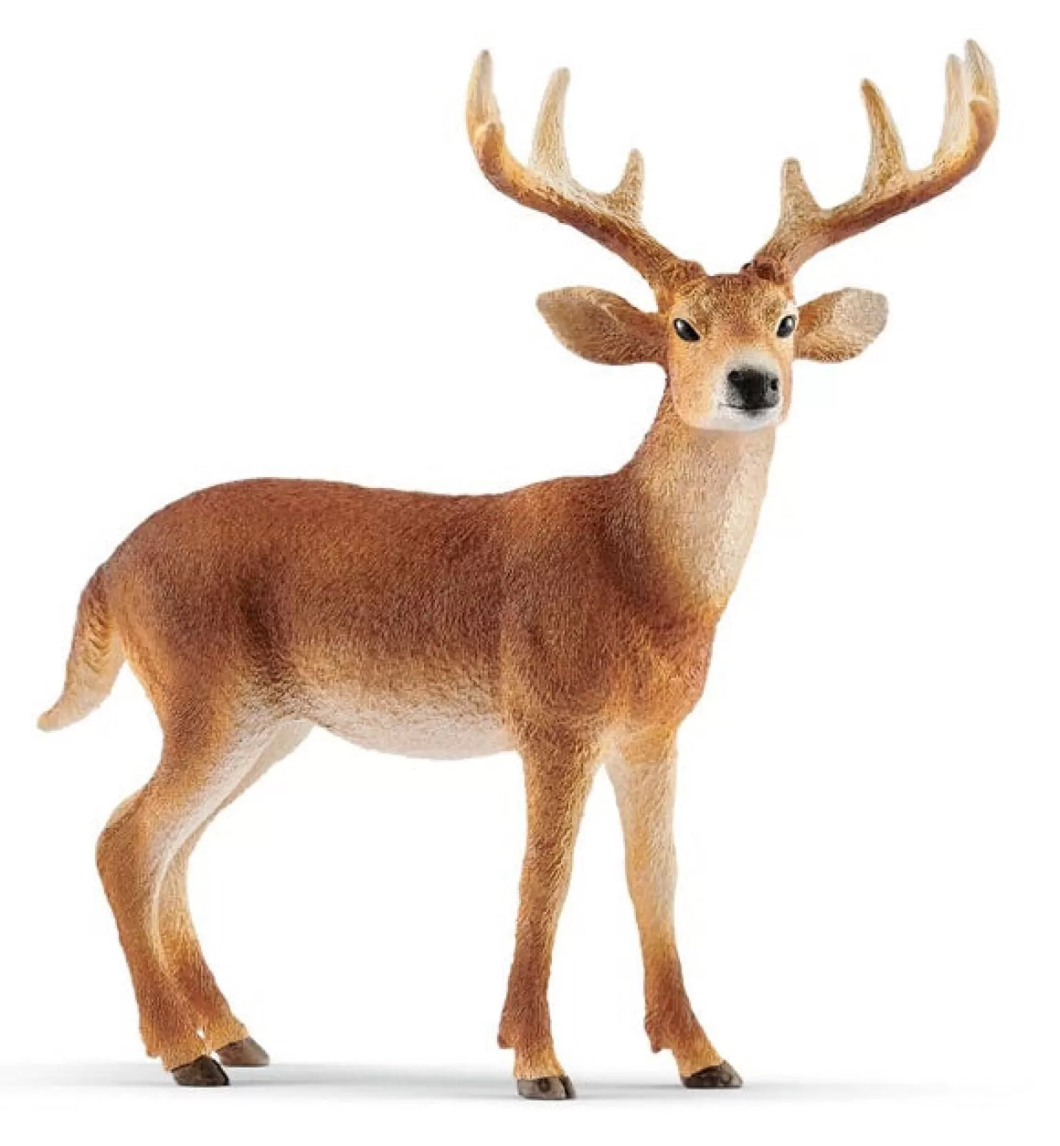 Outlet Wild Life - White-Tailed Buck Animals + Figurines