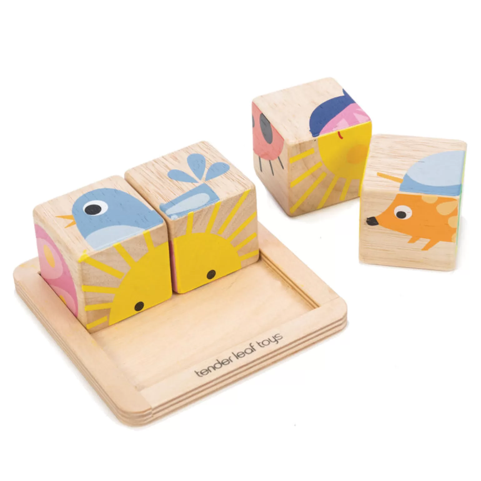 Tender Leaf Toys - Baby Blocks