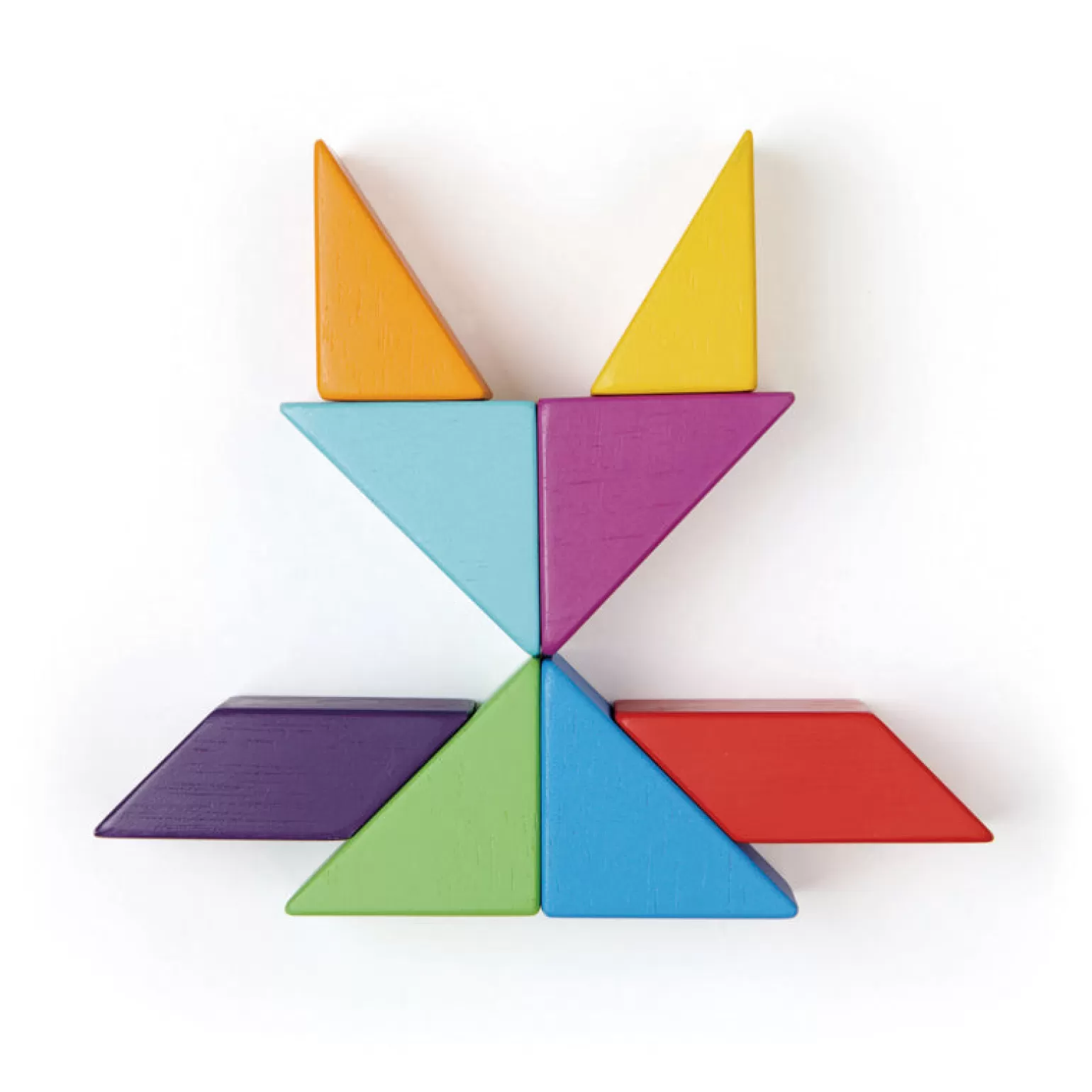 Tender Leaf Toys Magblocs