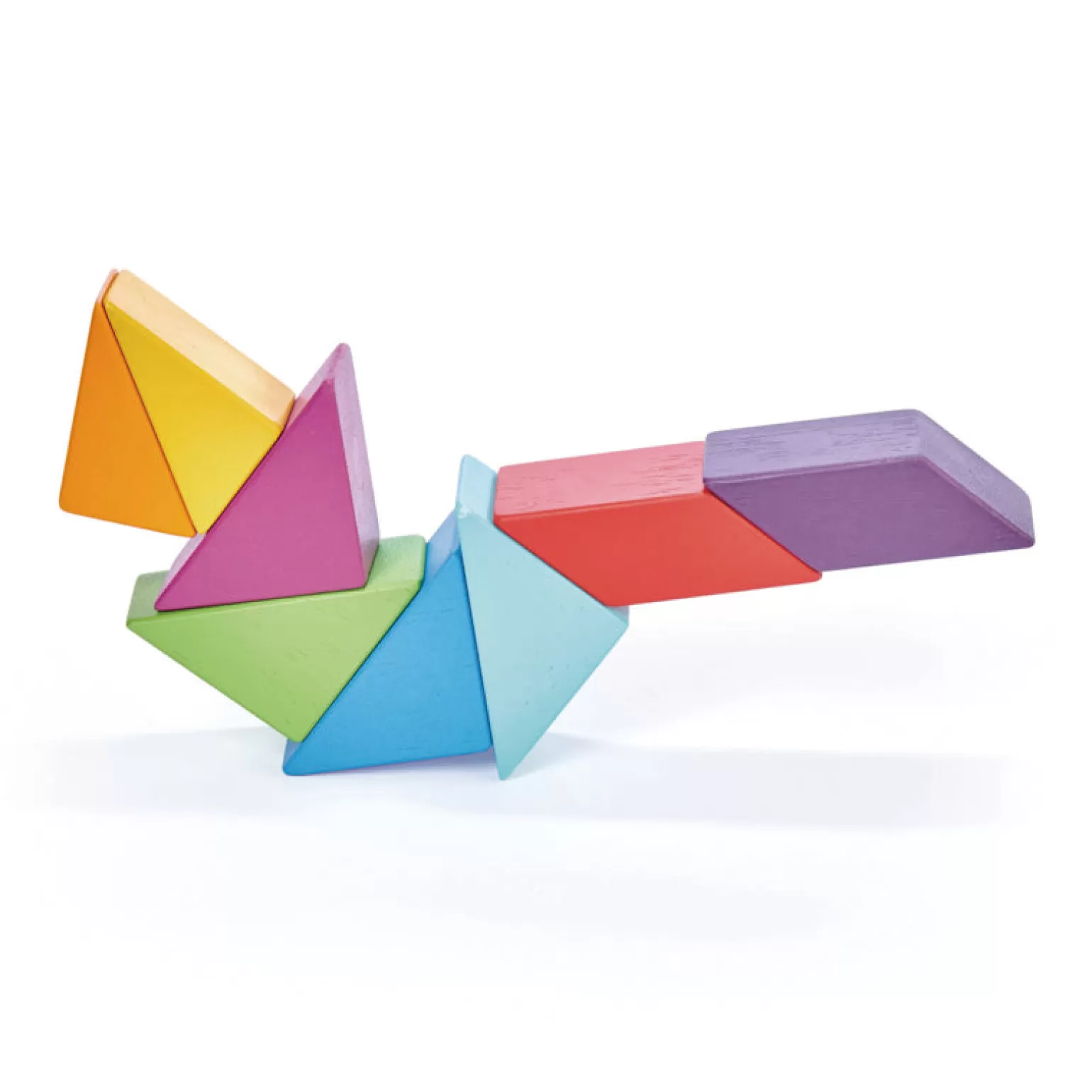 Tender Leaf Toys Magblocs