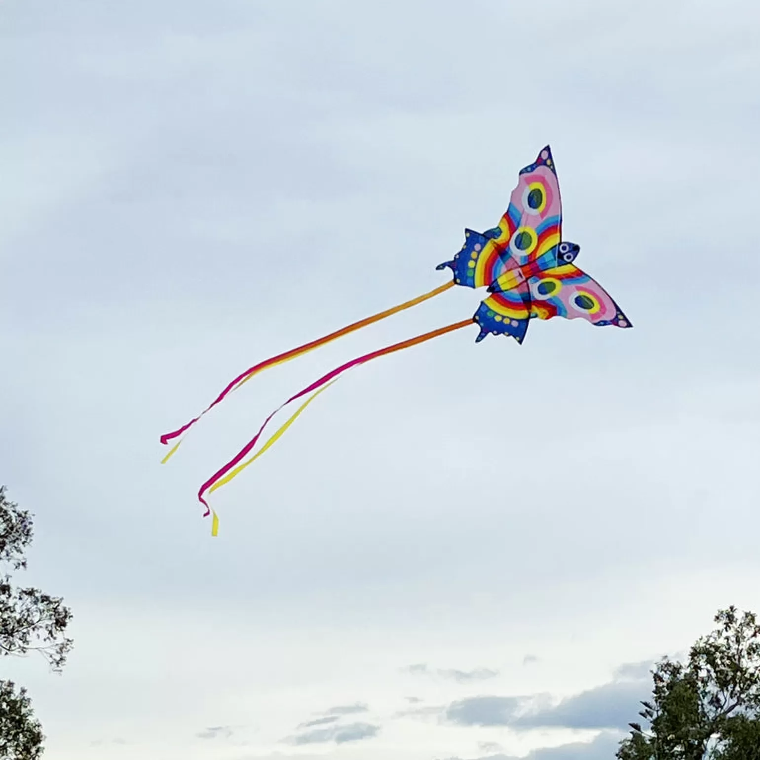 Tiger Tribe Butterfly Kite