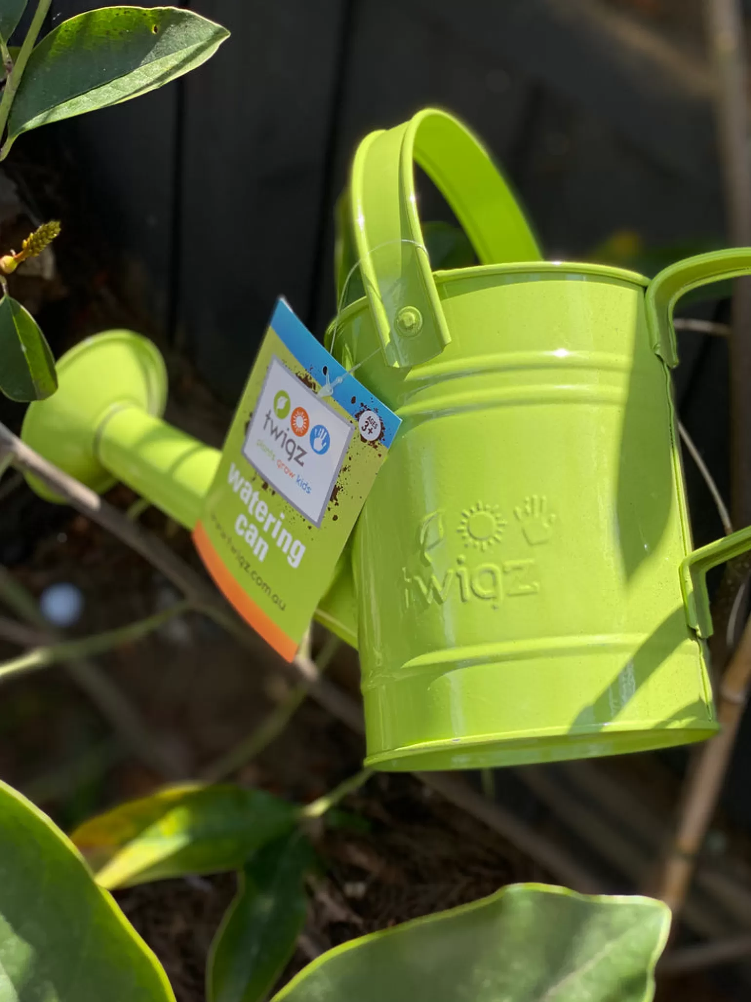 Twigz - Watering Can Green