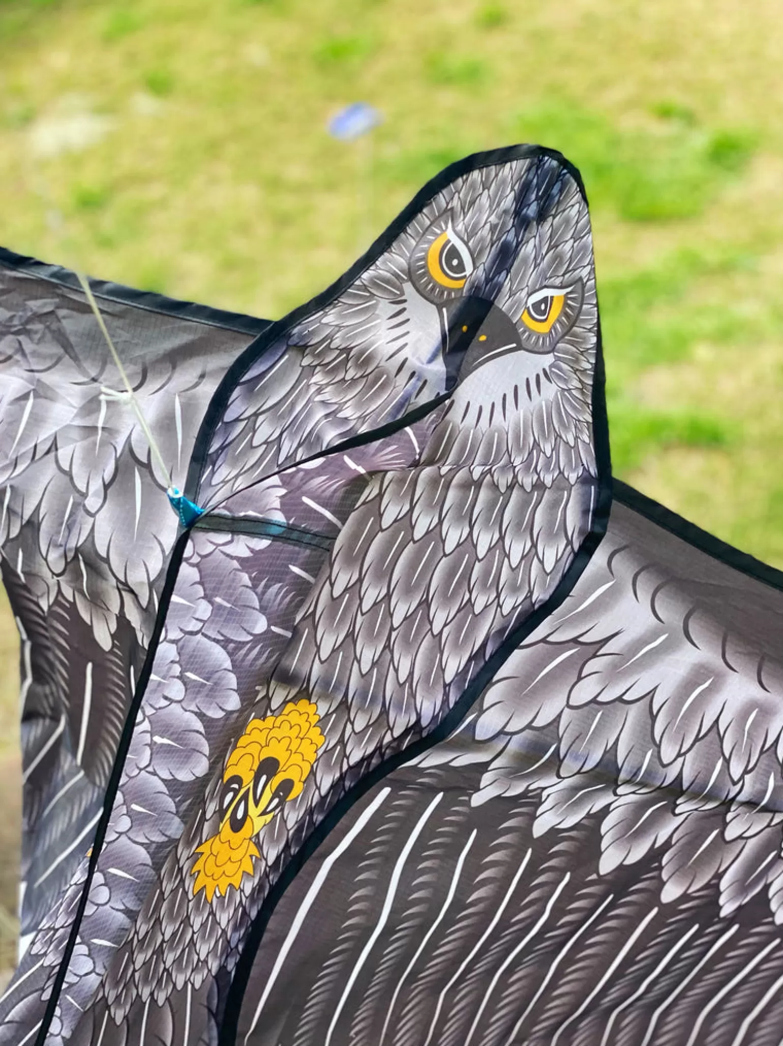 windspeed kites - Eagle