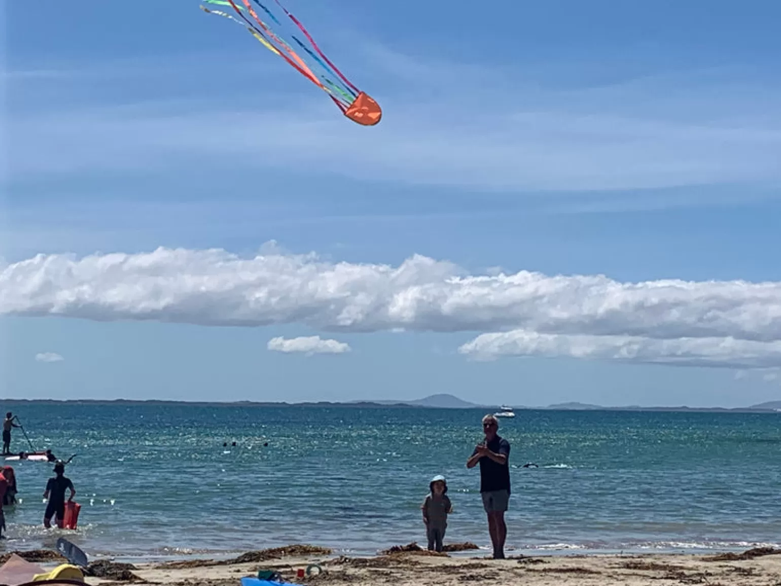 windspeed kites - Jellyfish