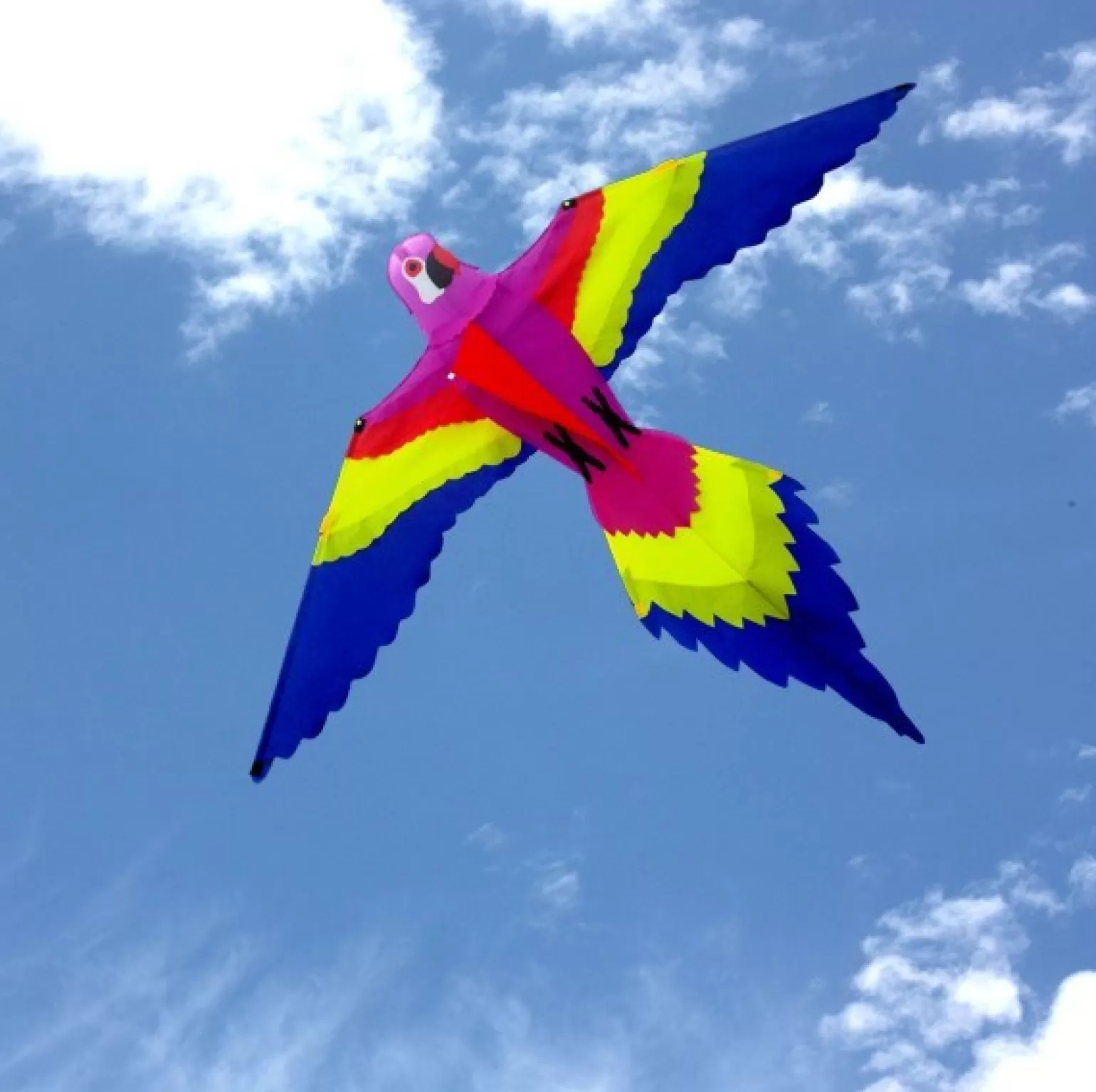 windspeed kites - Lorikeet