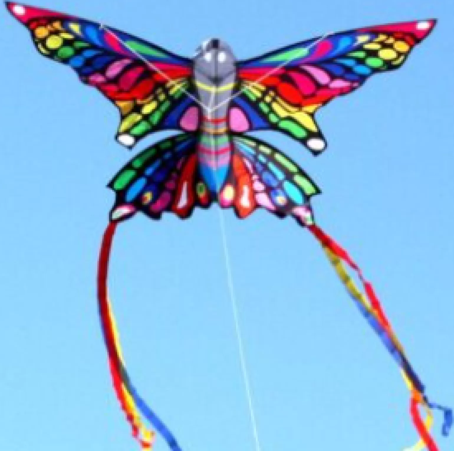 windspeed kites - Rainbow Butterfly