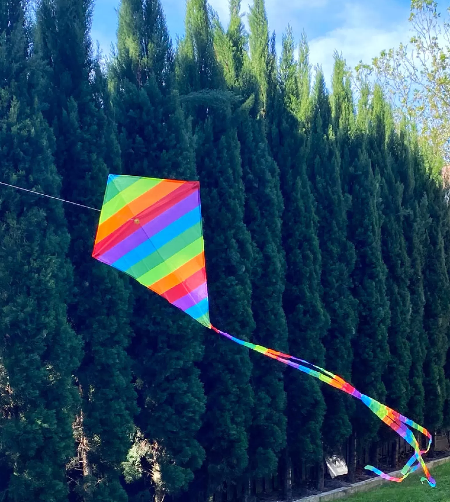 windspeed kites - Rainbow Diamond