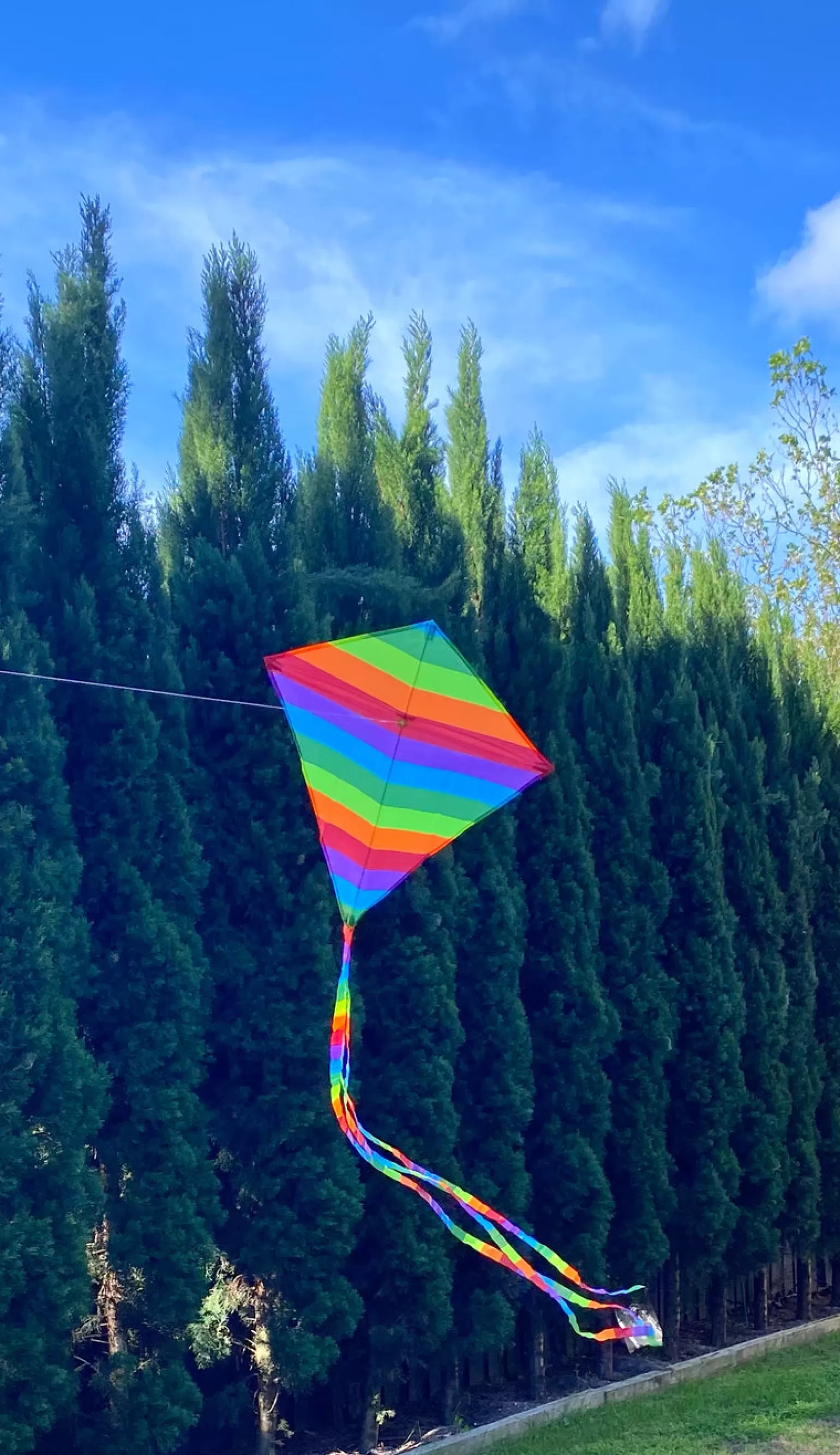 windspeed kites - Rainbow Diamond