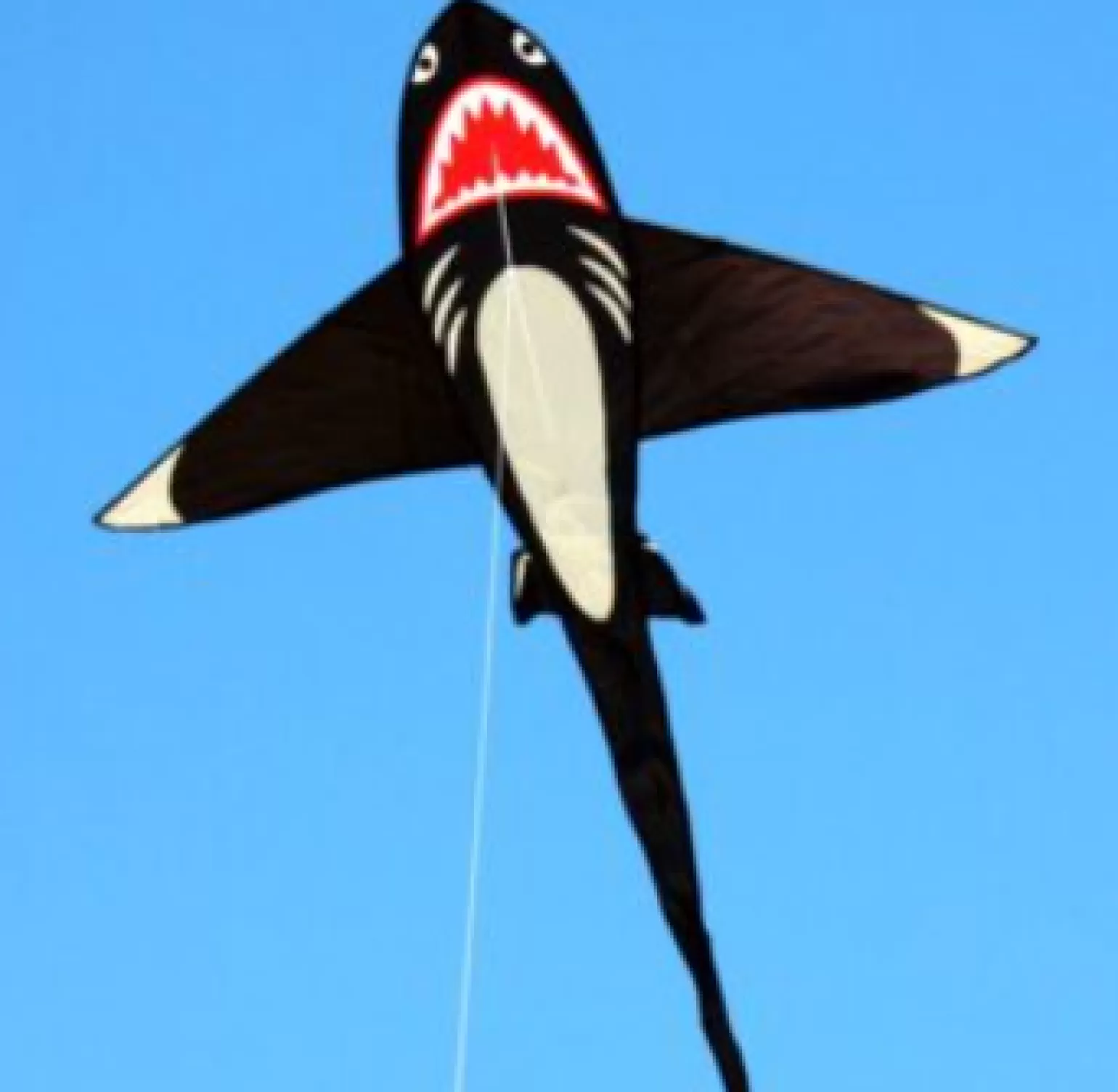 windspeed kites - Shark!