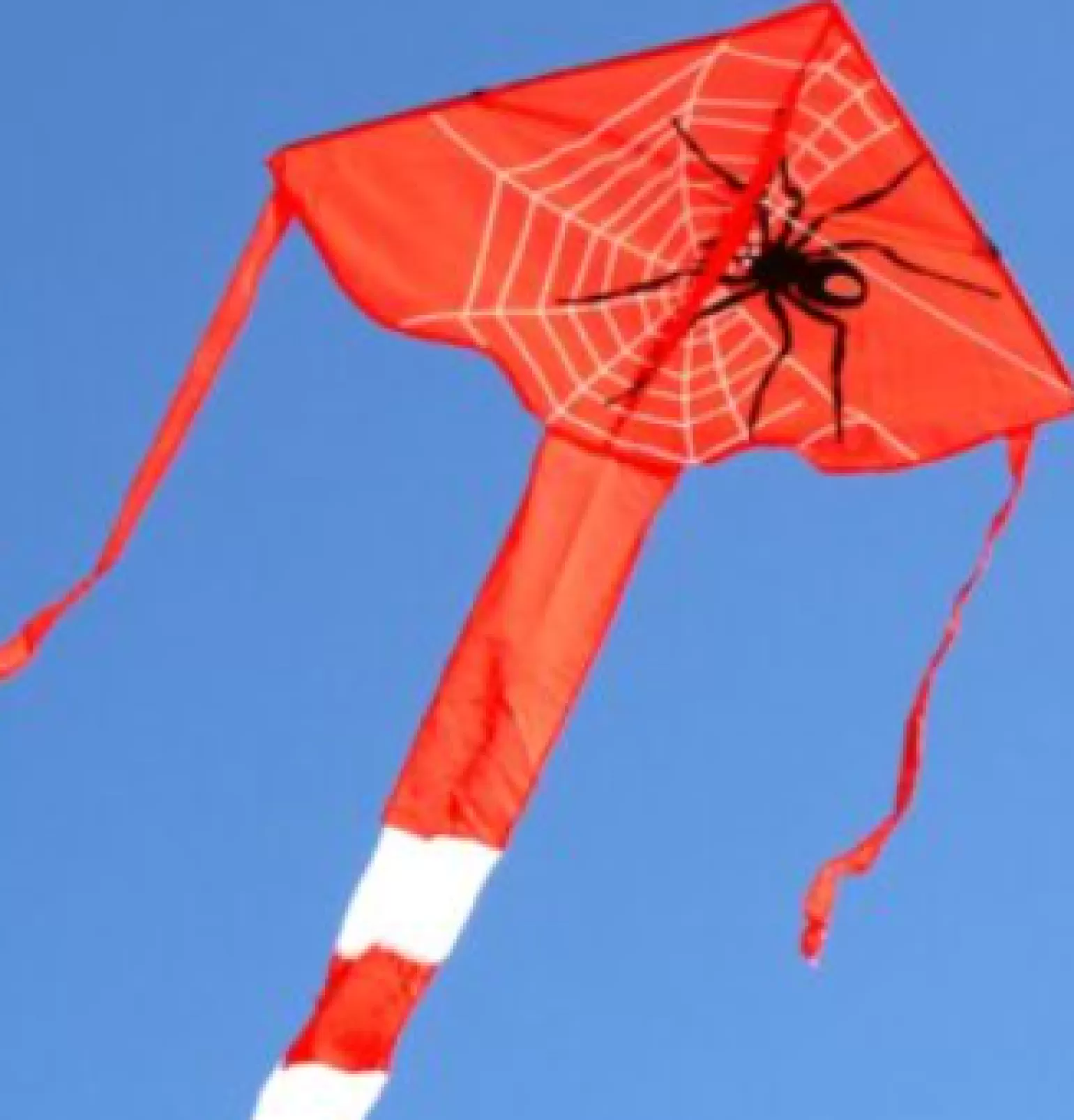 windspeed kites -Spider Delta