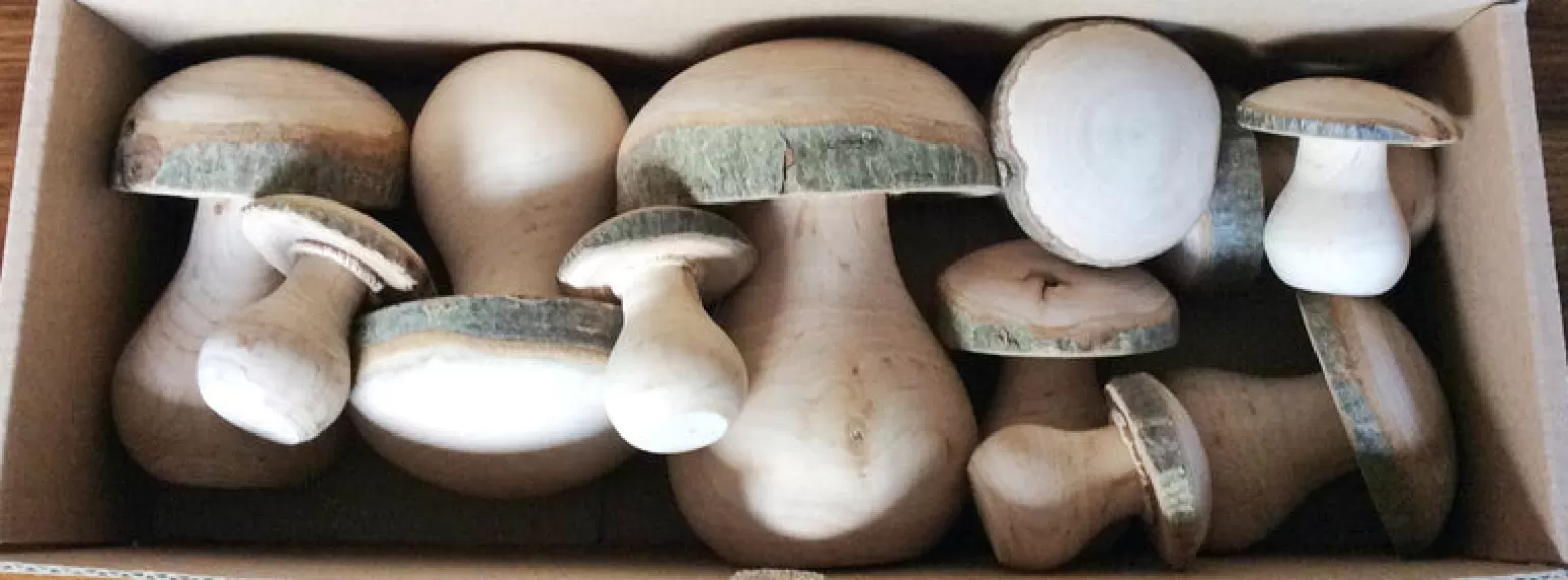 Cheap Wooden Mushrooms In Wood Pretend + Imaginative Play